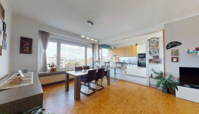 Immopoint verkoopt: appartement centrum Antwerpen 3D Model